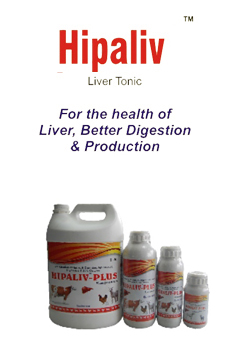Hipaliv Plus Liver Tonic