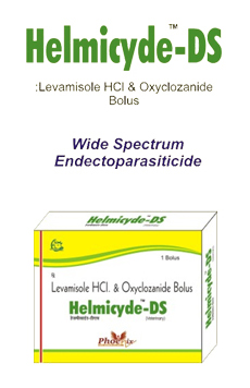 Helmicyde-DS